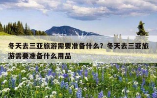 冬天去三亚旅游需要准备什么？冬天去三亚旅游需要准备什么用品