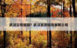 武汉公司旅游？武汉旅游投资有限公司