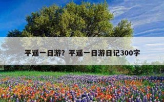 平遥一日游？平遥一日游日记300字