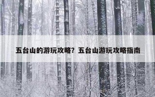 五台山的游玩攻略？五台山游玩攻略指南