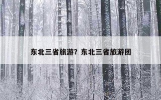 东北三省旅游？东北三省旅游团