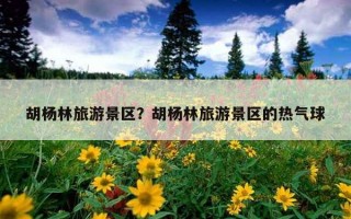 胡杨林旅游景区？胡杨林旅游景区的热气球