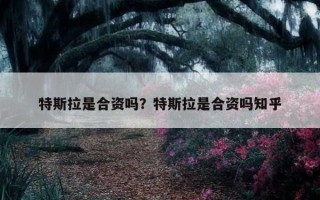 特斯拉是合资吗？特斯拉是合资吗知乎
