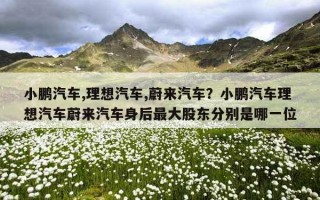 小鹏汽车,理想汽车,蔚来汽车？小鹏汽车理想汽车蔚来汽车身后最大股东分别是哪一位