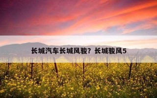 长城汽车长城风骏？长城骏风5