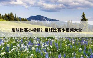 足球比赛小视频？足球比赛小视频大全