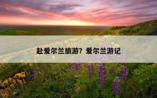 赴爱尔兰旅游？爱尔兰游记