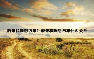 蔚来和理想汽车？蔚来和理想汽车什么关系