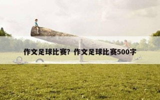 作文足球比赛？作文足球比赛500字