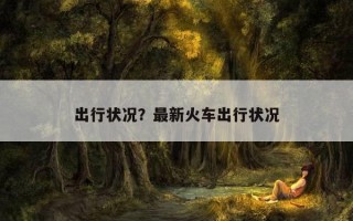 出行状况？最新火车出行状况