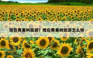 现在黄果树旅游？现在黄果树旅游怎么样