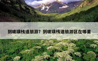 到玻璃栈道旅游？到玻璃栈道旅游区在哪里