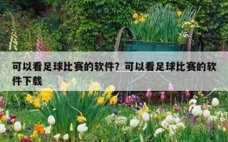 可以看足球比赛的软件？可以看足球比赛的软件下载