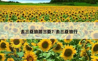 去三亚旅游三亚？去三亚旅行