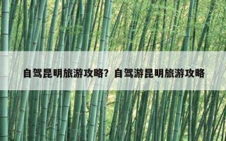 自驾昆明旅游攻略？自驾游昆明旅游攻略
