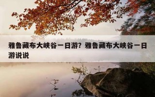 雅鲁藏布大峡谷一日游？雅鲁藏布大峡谷一日游说说