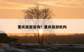 重庆旅游咨询？重庆旅游机构