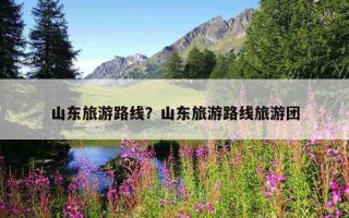 山东旅游路线？山东旅游路线旅游团