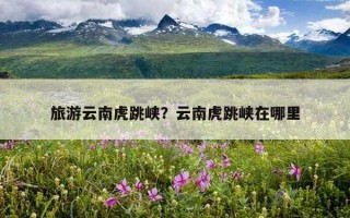 旅游云南虎跳峡？云南虎跳峡在哪里