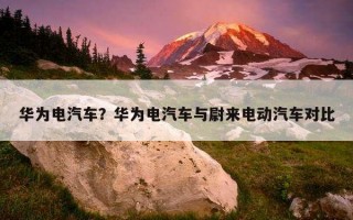 华为电汽车？华为电汽车与尉来电动汽车对比