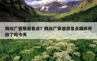 四川广安旅游景点？四川广安旅游景点国庆开放了吗今天