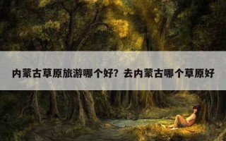 内蒙古草原旅游哪个好？去内蒙古哪个草原好