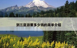 到三亚游要多少钱的简单介绍