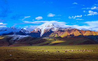 川藏线国道318线自驾游- 探索天路的奇观与魅力(川藏线国道318线自驾游)