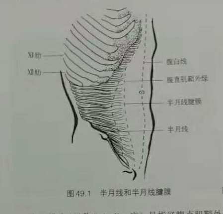 拿老婆身份证查开宾馆记录_查老婆住宾馆记录可以吗_身份证怎么查老婆开宾馆记录